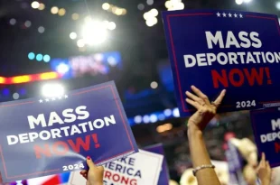 Undocumented migrants hope Trump mass deportations only 'for criminals'